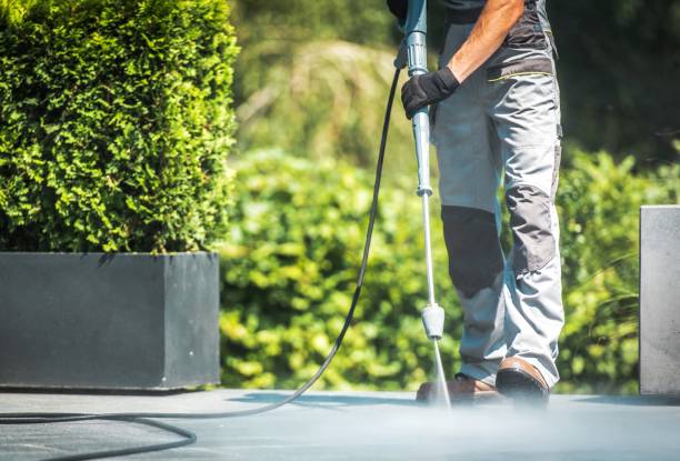 Best Animal Enclosure Cleaning  in Ocean Ridge, FL