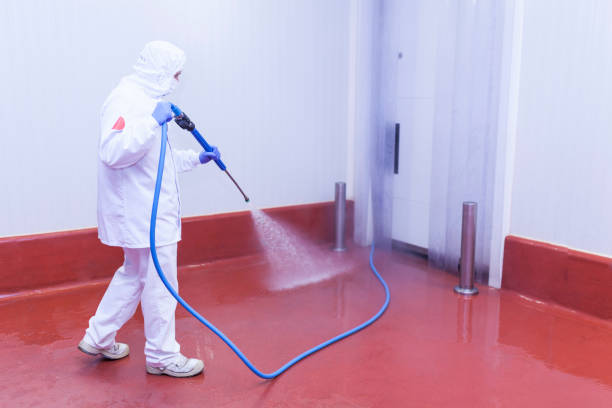 Best Driveway Pressure Washing  in Ocean Ridge, FL